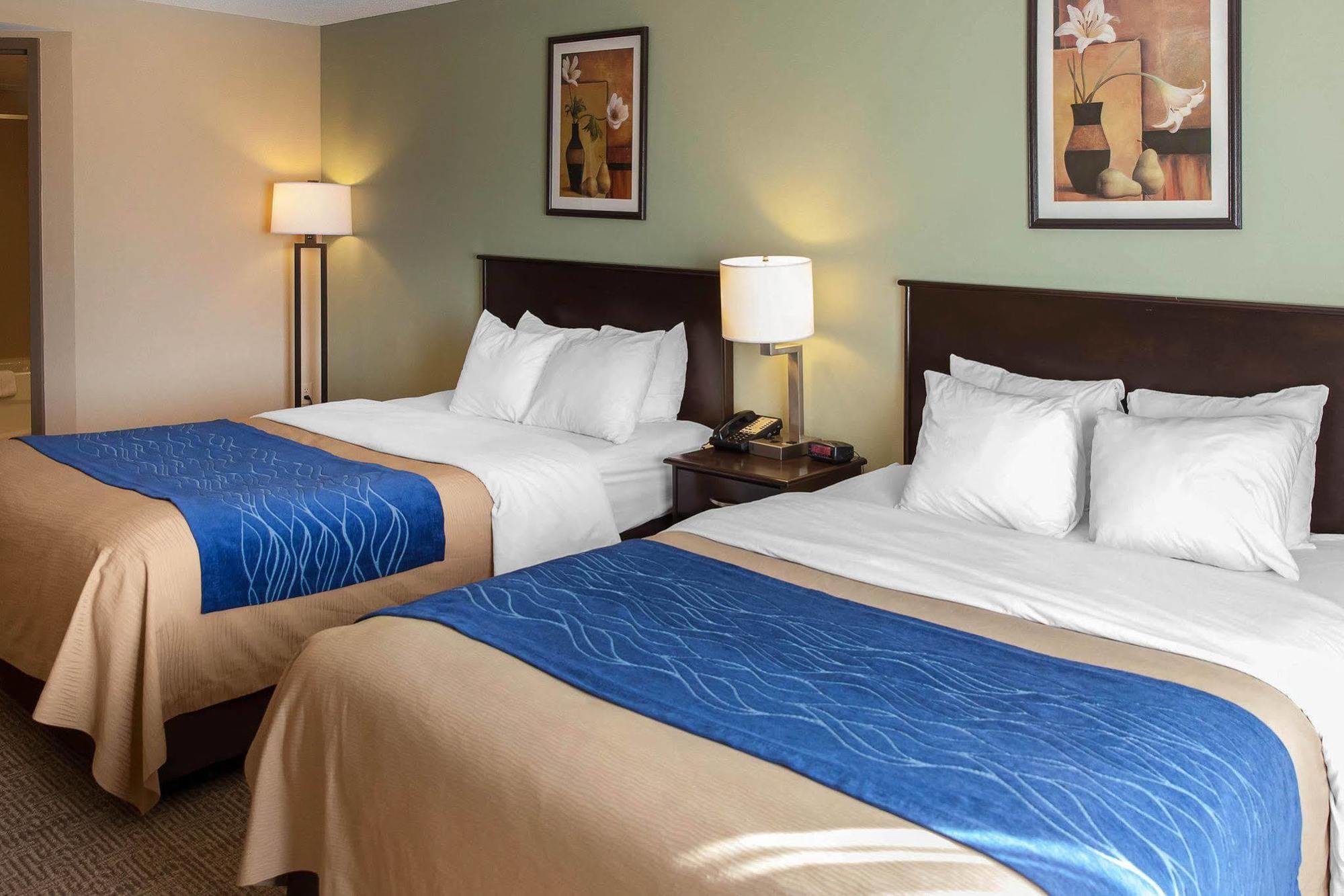 Comfort Inn Near Quantico Main Gate North Dumfries Exterior foto